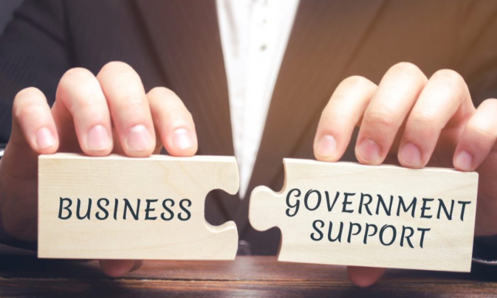 The-government-support-in-the-Business-