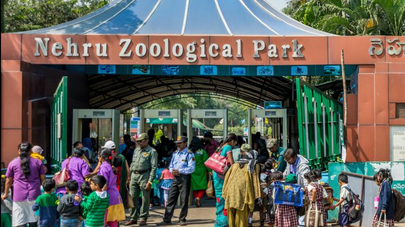 Nehru Zoological Park