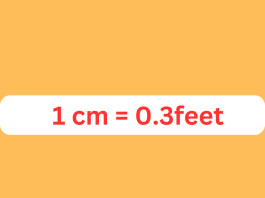 cm to feet