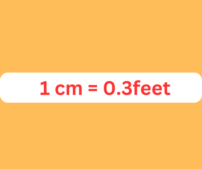 cm to feet