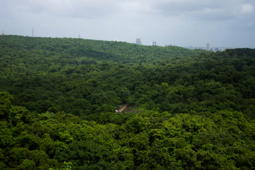 Sanjay Gandhi National Park