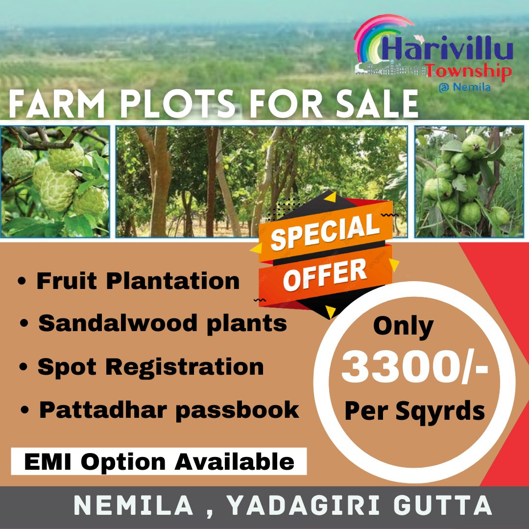Farm plots for sale in yadagirigutta