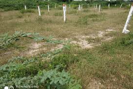 Open Plots For Sale at Kadthal, Hyderabad