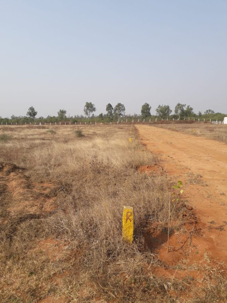 plots for sale in guduru