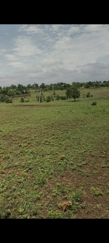 Agriculture Land For Sale in Marpally