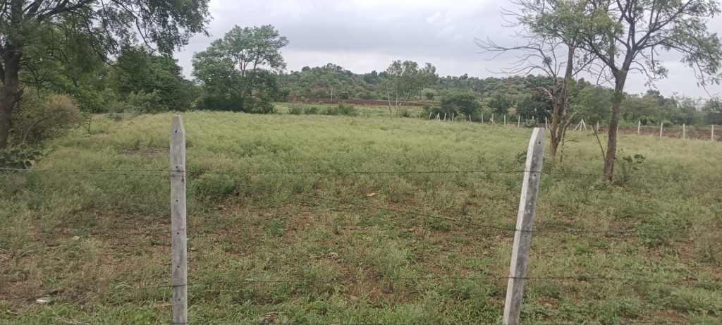 agriculture land in mominpet