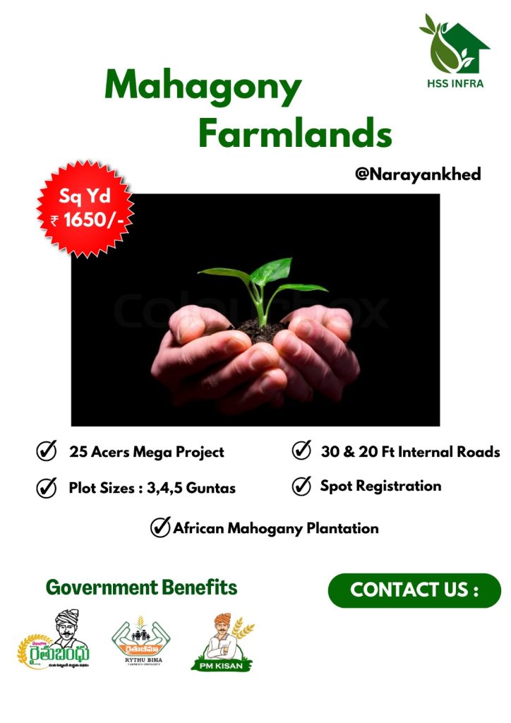farm plots for sale in narayankhed