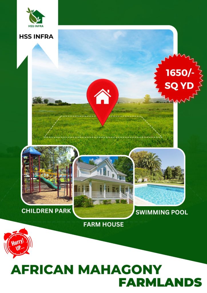 farm plots for sale in narayankhed