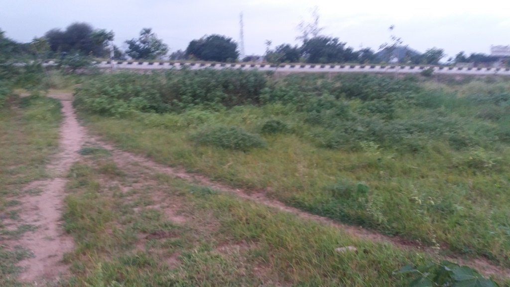 Buy Commercial Property For Sale in Raghunathpally, Warangal.